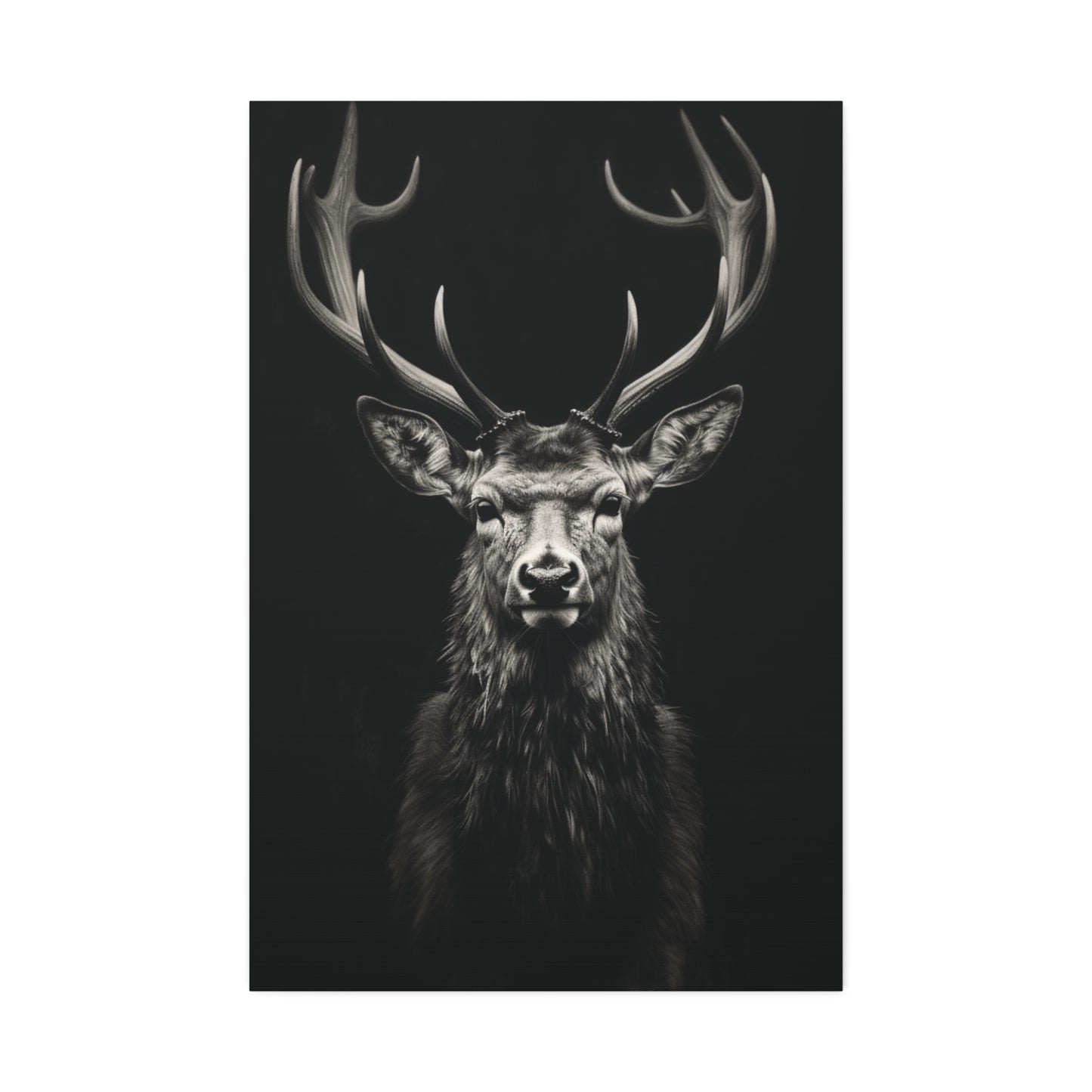 Majestic Stare: The Monarch of the Forest