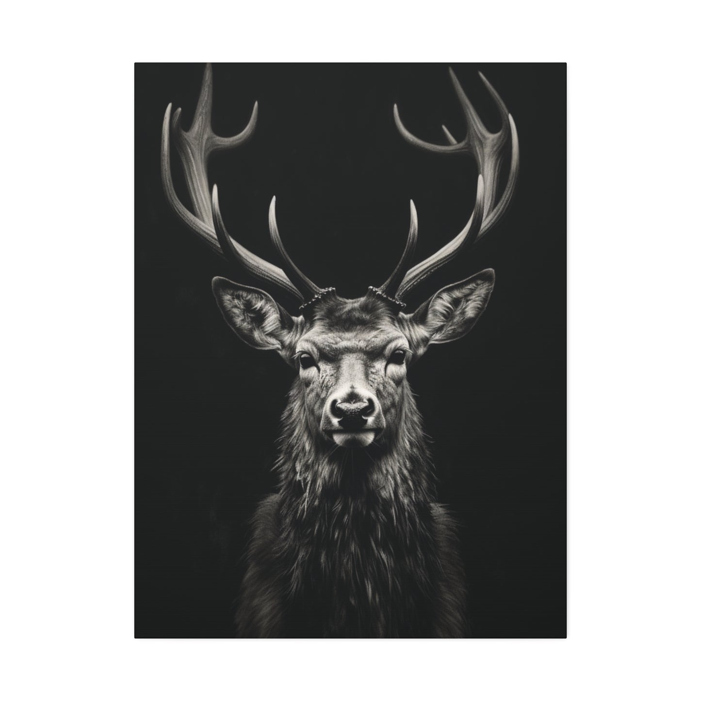 Majestic Stare: The Monarch of the Forest