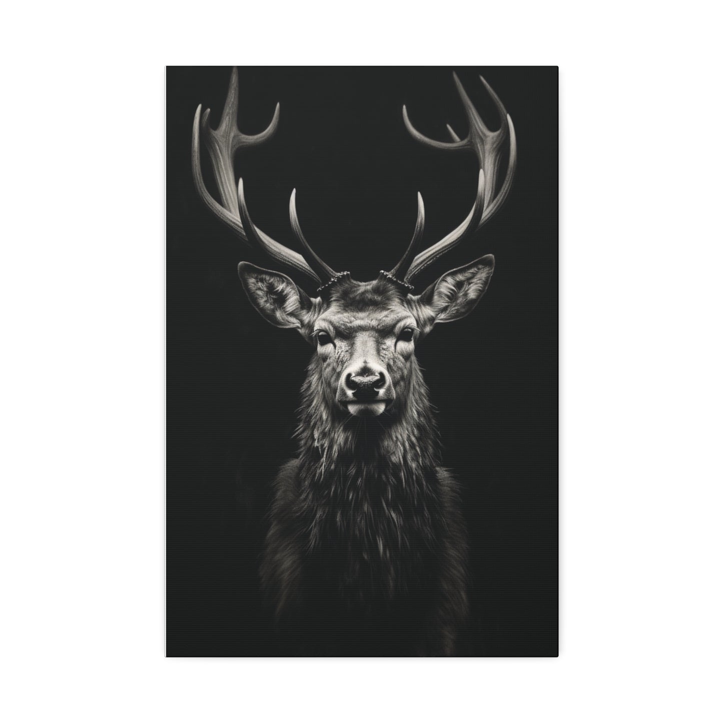 Majestic Stare: The Monarch of the Forest