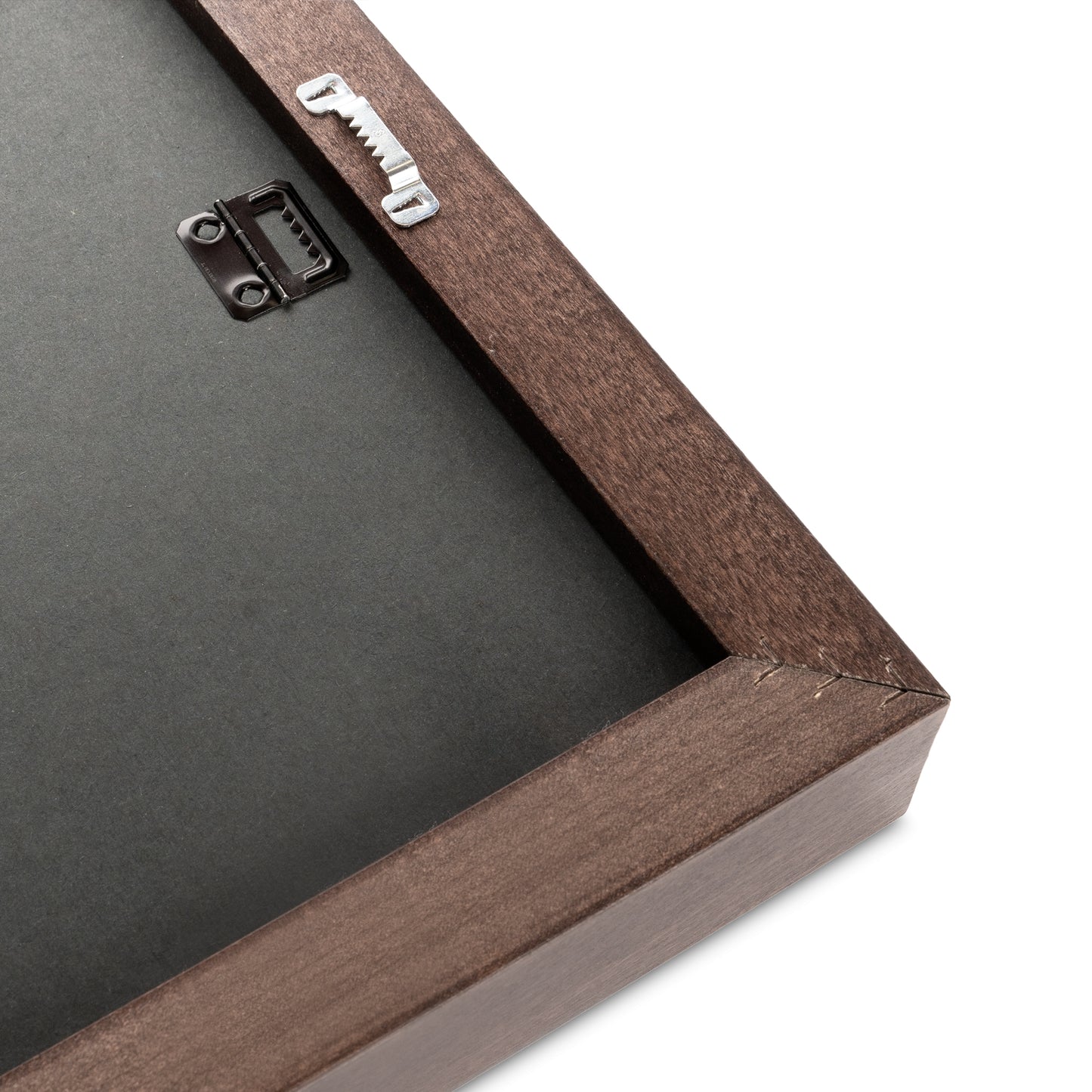 Urban Fox Groove: The Colorful Crusader