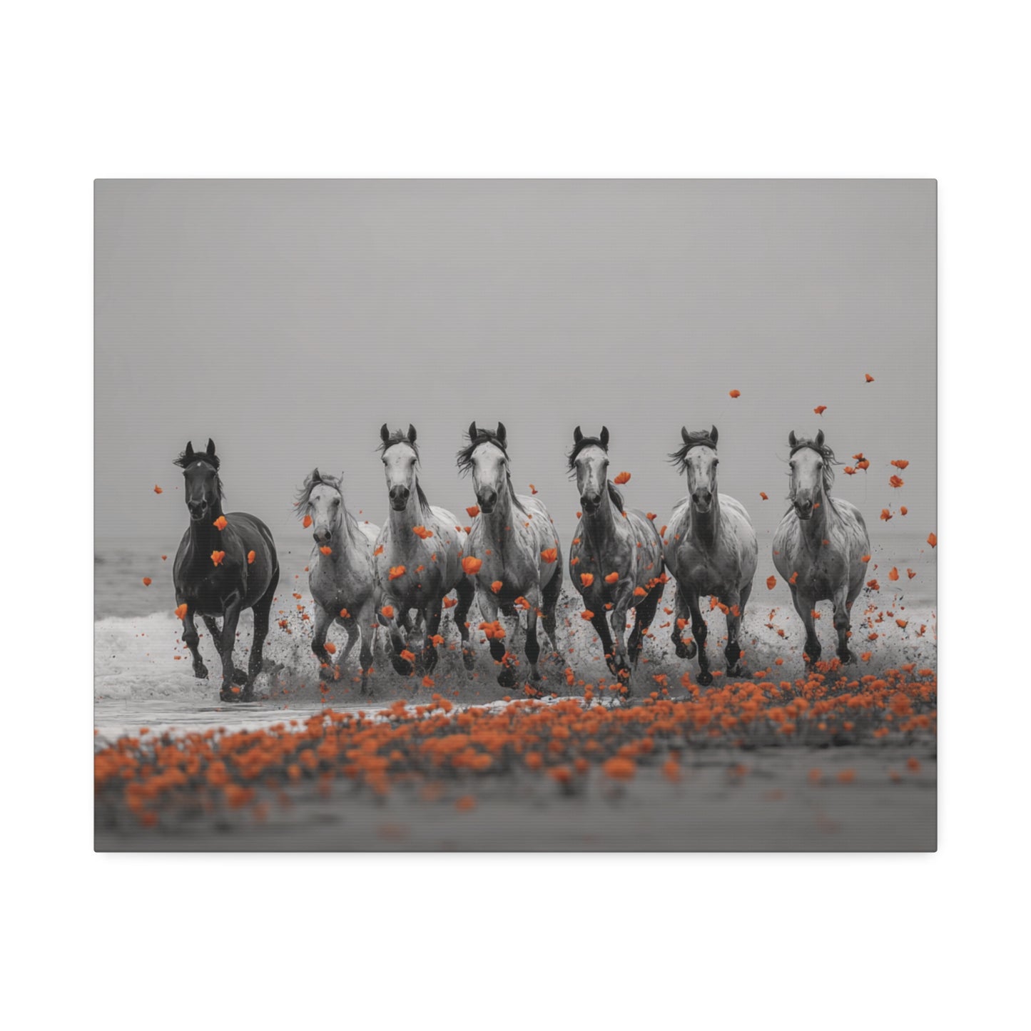 Run Wild, Poppy Heart – Black & White Horse Canvas Art