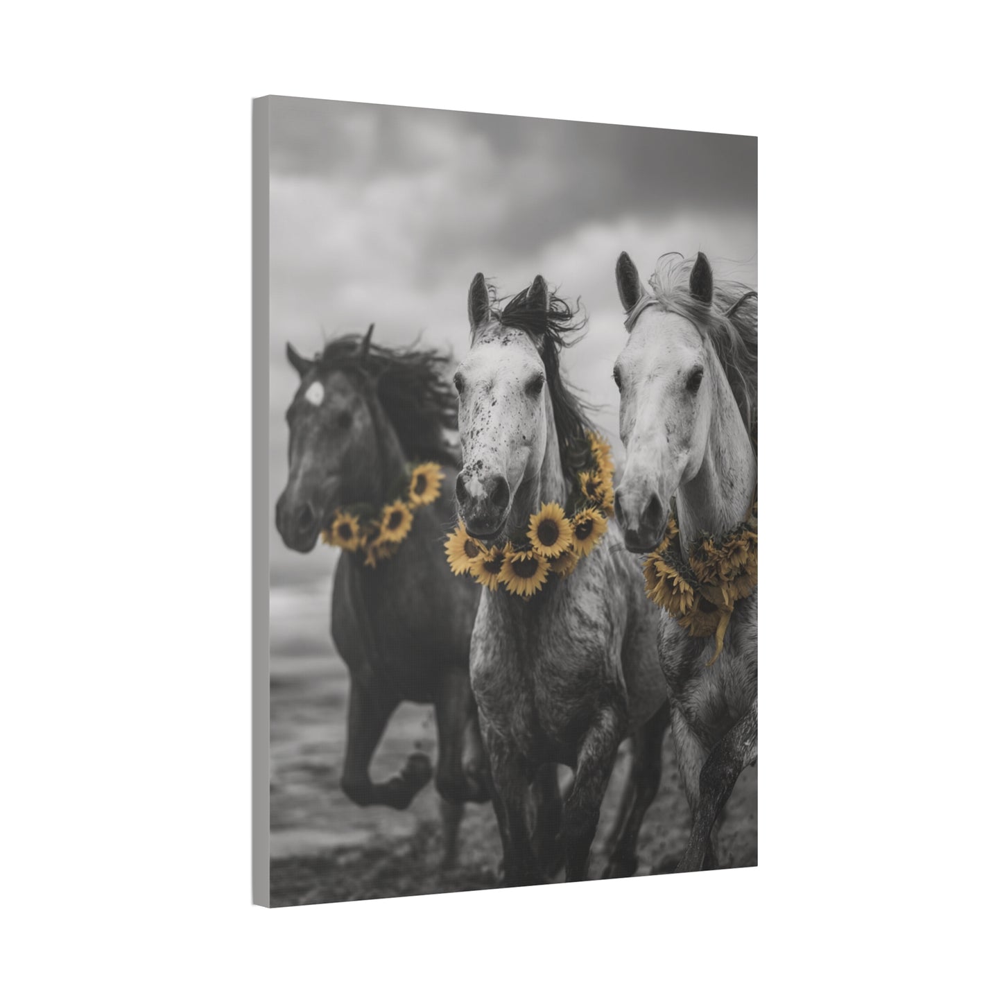Sunflower Stallions – Black and White Wild Horse Canvas Art with Yellow Accents