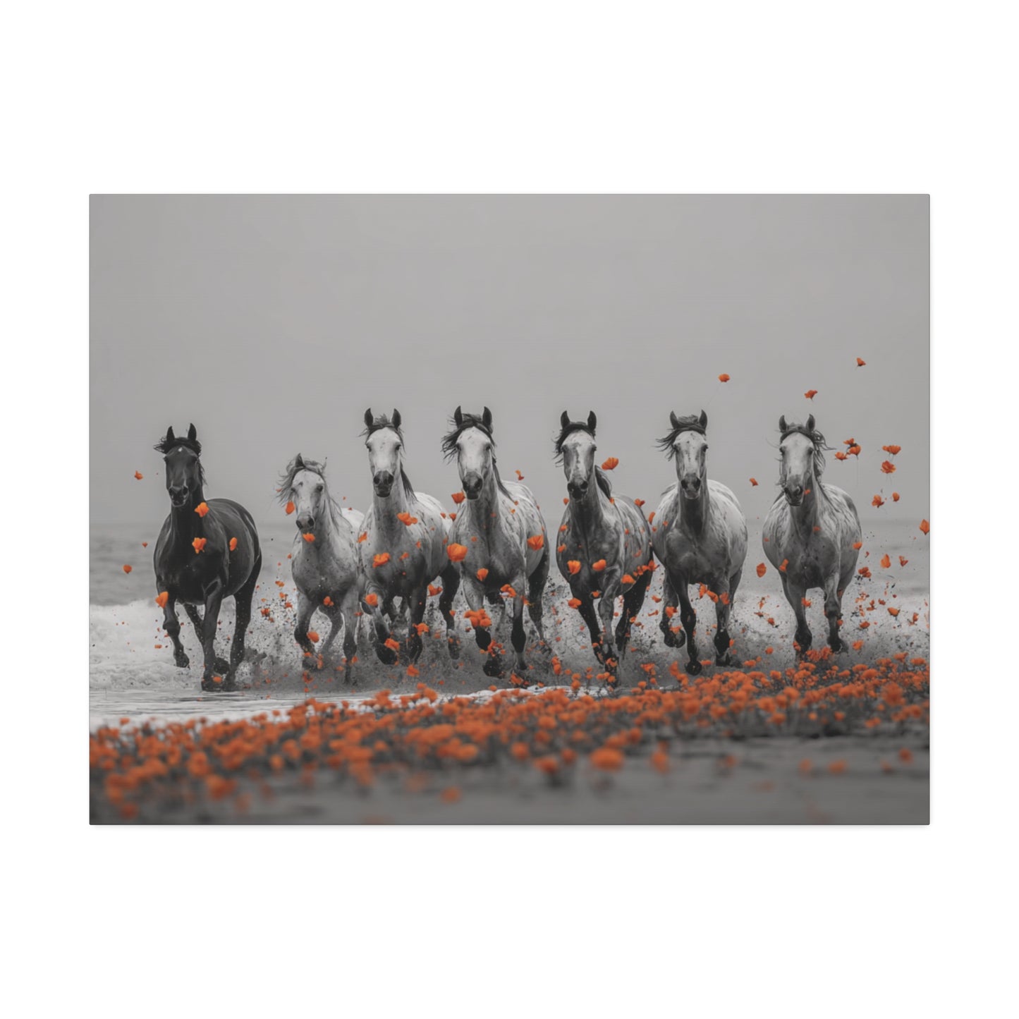 Run Wild, Poppy Heart – Black & White Horse Canvas Art