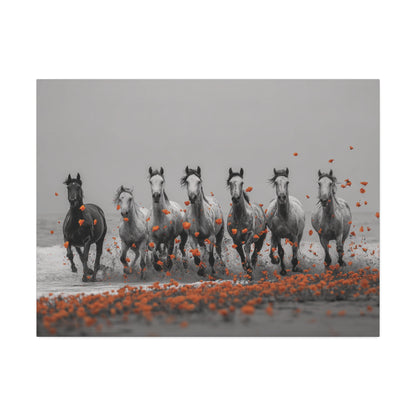 Run Wild, Poppy Heart – Black & White Horse Canvas Art