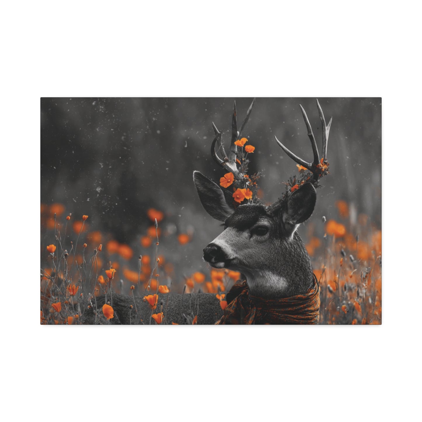 Orange Crush – Black and White Deer Canvas Wall Art with Poppy Flower Color Pop