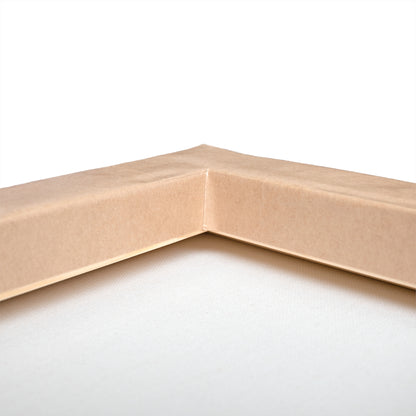 "Woody the Barn Owl" Canvas Art