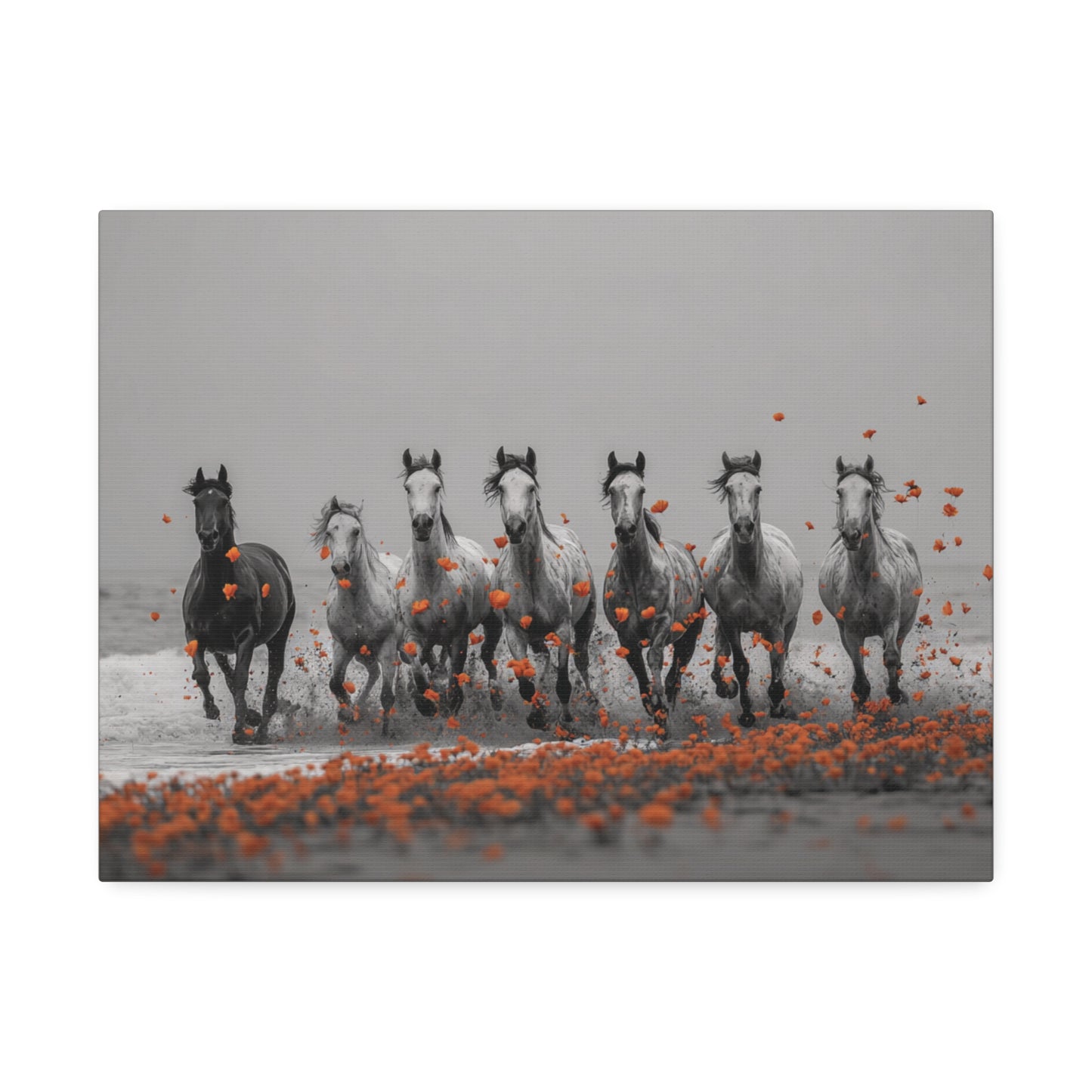 Run Wild, Poppy Heart – Black & White Horse Canvas Art