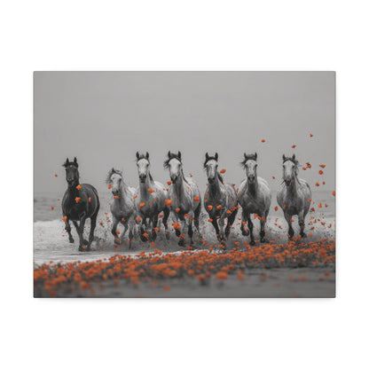 Run Wild, Poppy Heart – Black & White Horse Canvas Art