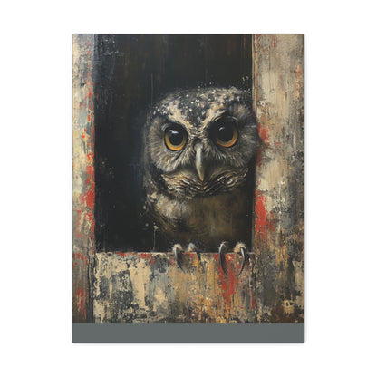 "Woody the Barn Owl" Canvas Art