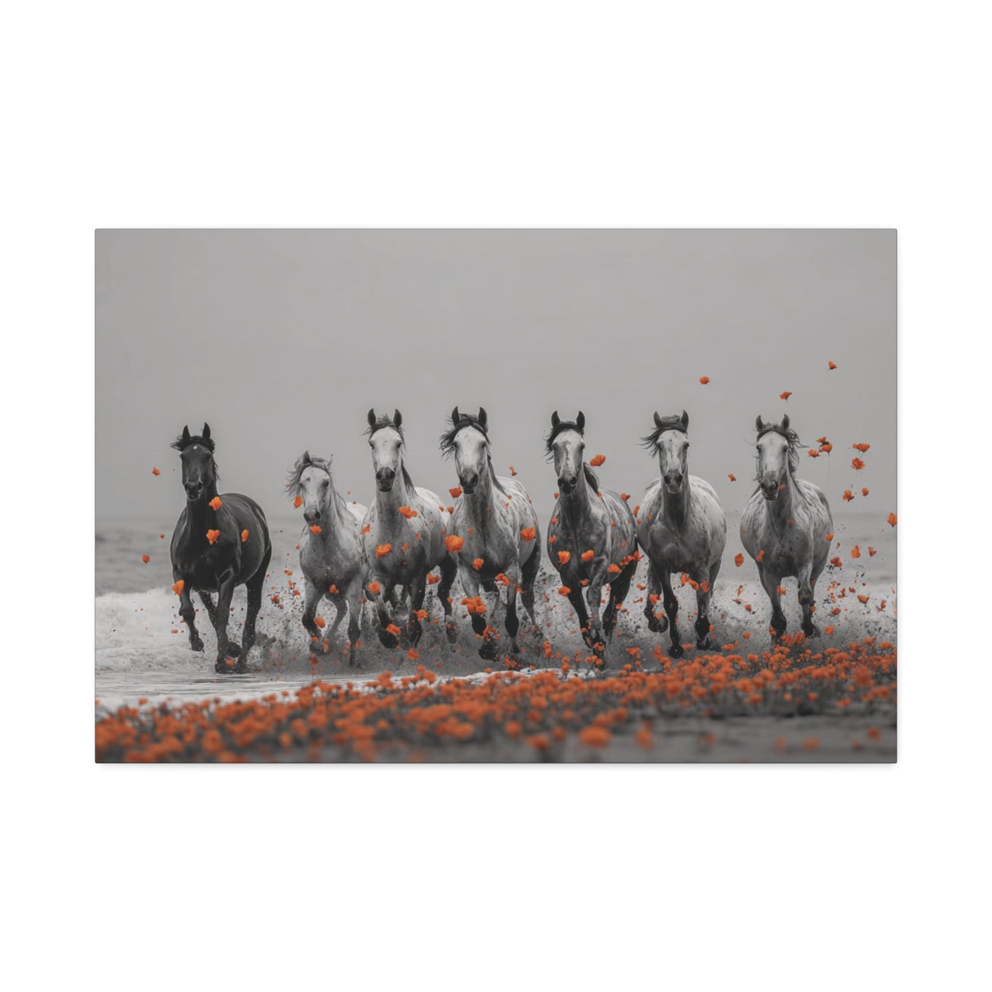 Run Wild, Poppy Heart – Black & White Horse Canvas Art