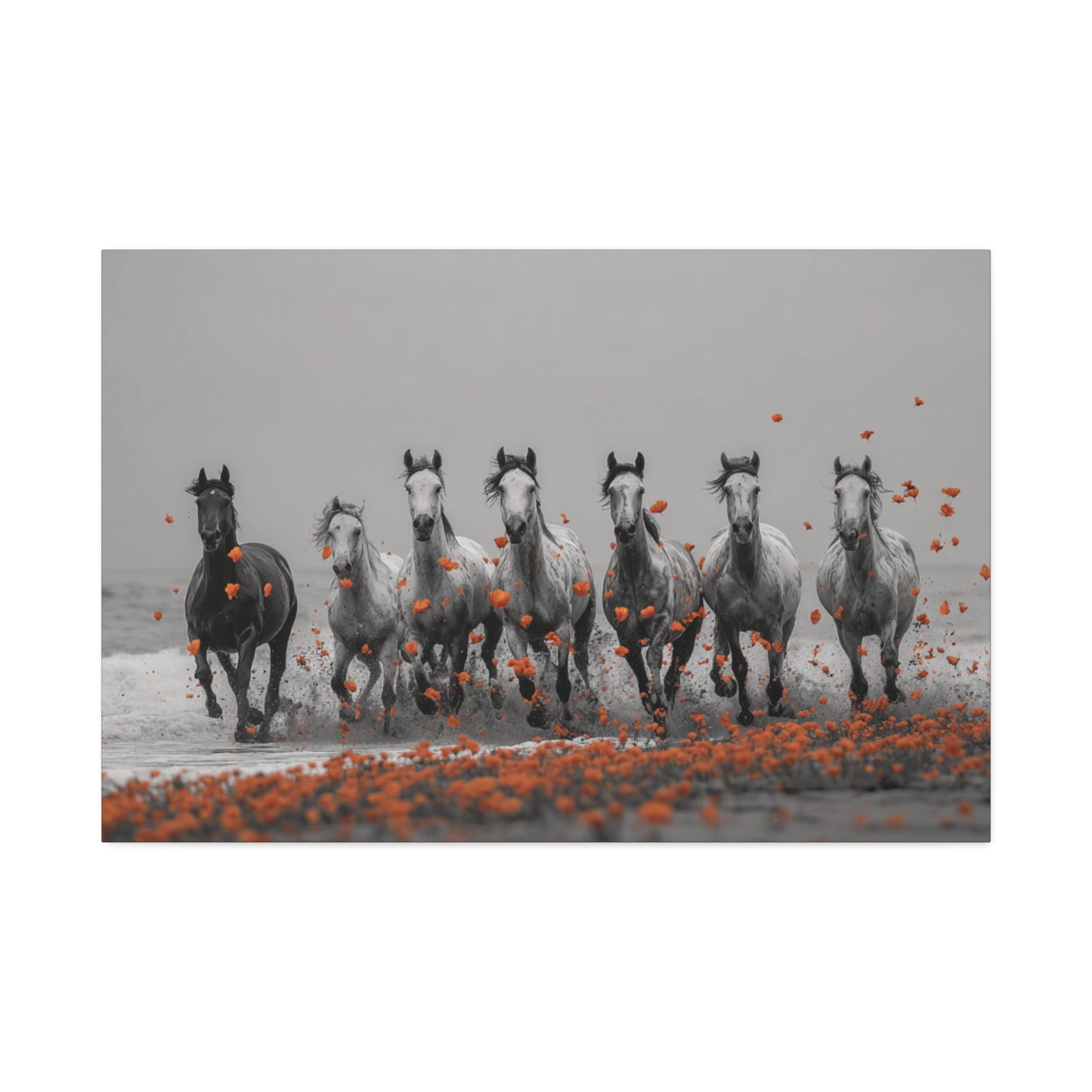 Run Wild, Poppy Heart – Black & White Horse Canvas Art