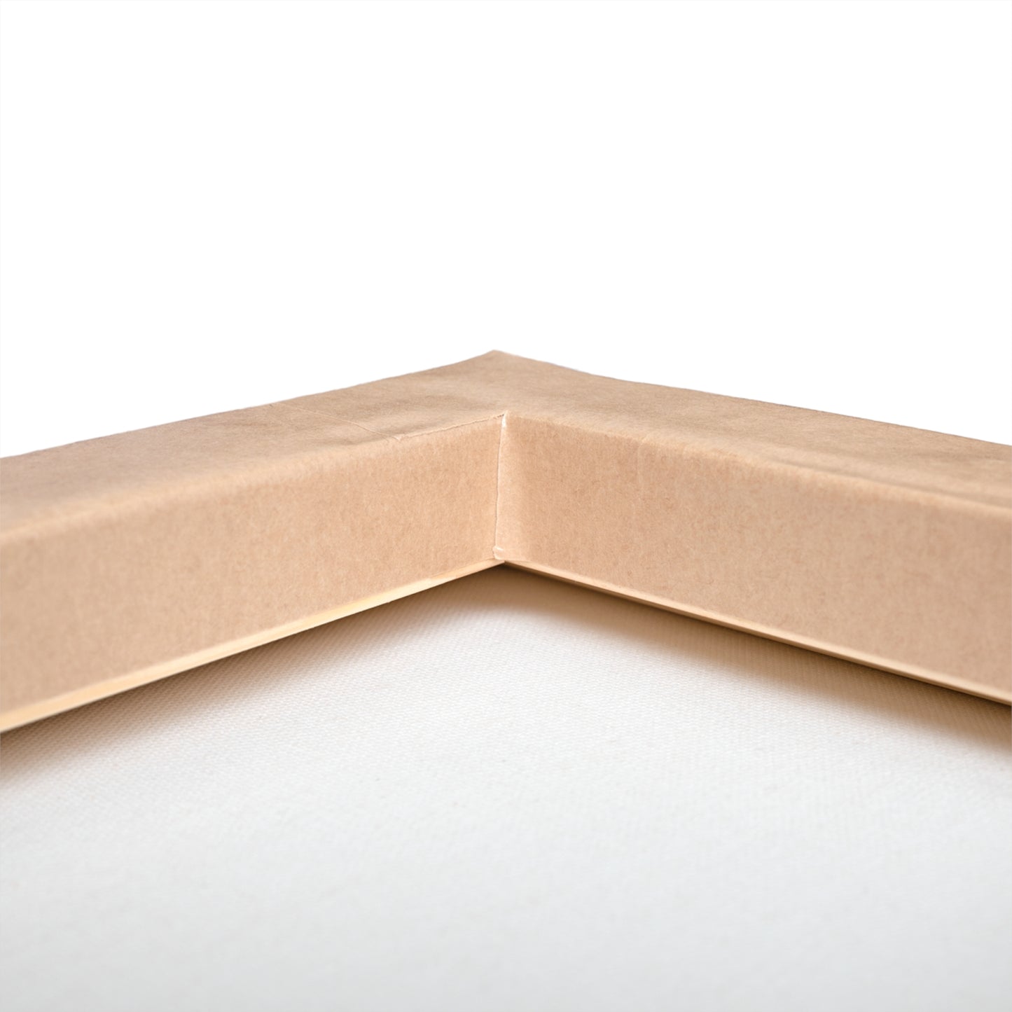 "Patty's Nightwatch" Owl Canvas art