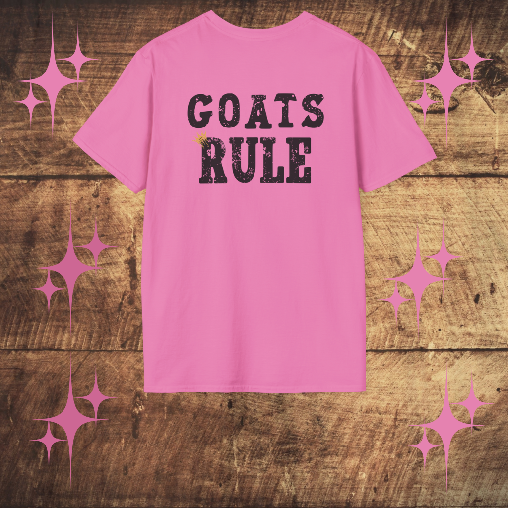Pink t-shirt with 'GOATS RULE' text on a wooden surface with decorative elements.